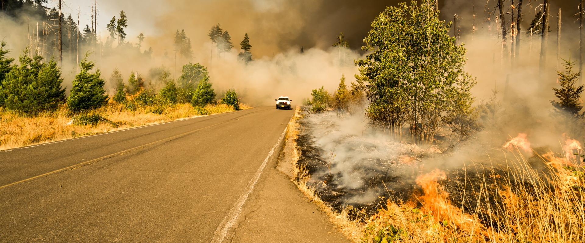 What States Have the Most Wildfires? Protect Your Home With Reliable HVAC Replacement Service