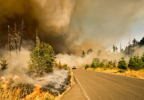 What States Have the Most Wildfires? Protect Your Home With Reliable HVAC Replacement Service